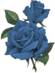 le fleure vrai bleue